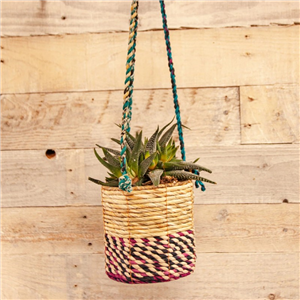 Artisan Plant Basket Small